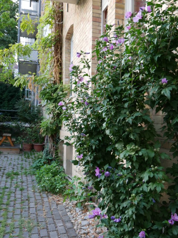 Hinteransicht des Hauses Etagenwohnung Stuttgart
