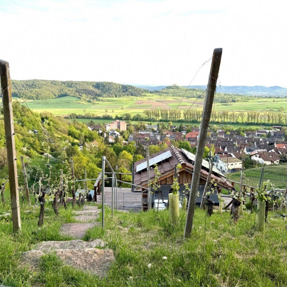 Optional mit Weinberg zu verkaufen Doppelhaush�lfte Unterjesingen