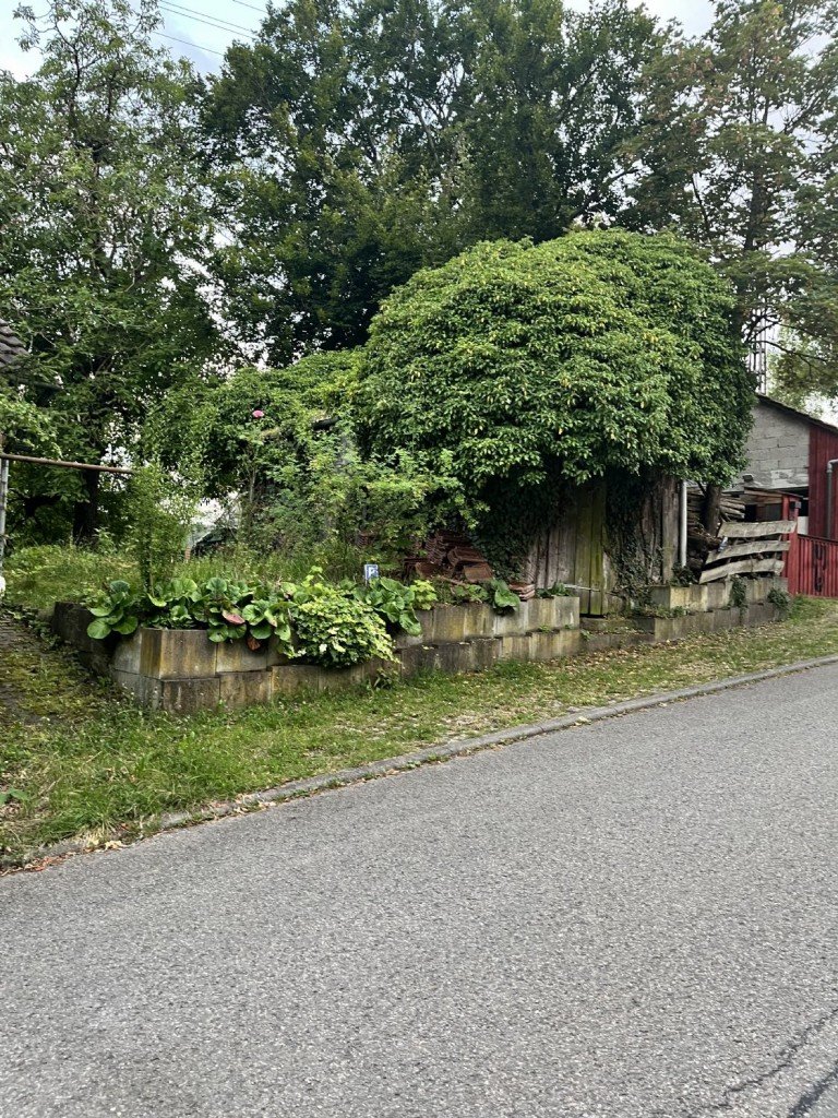  Simmozheim - Calw Wohngrundst�ck Großes Grundstücksareal mit 1.180 m² - Hier kann bald Ihr Haus stehen