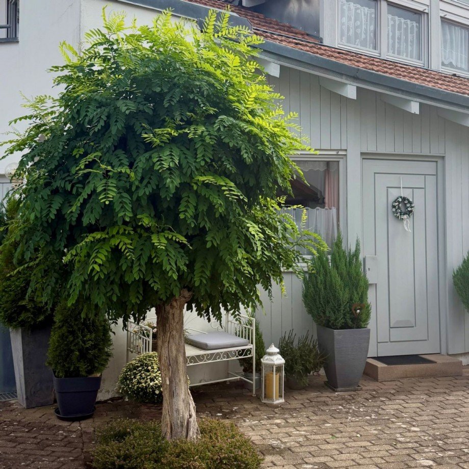 Einladend auf dem ersten Blick Einfamilienhaus Rottenburg