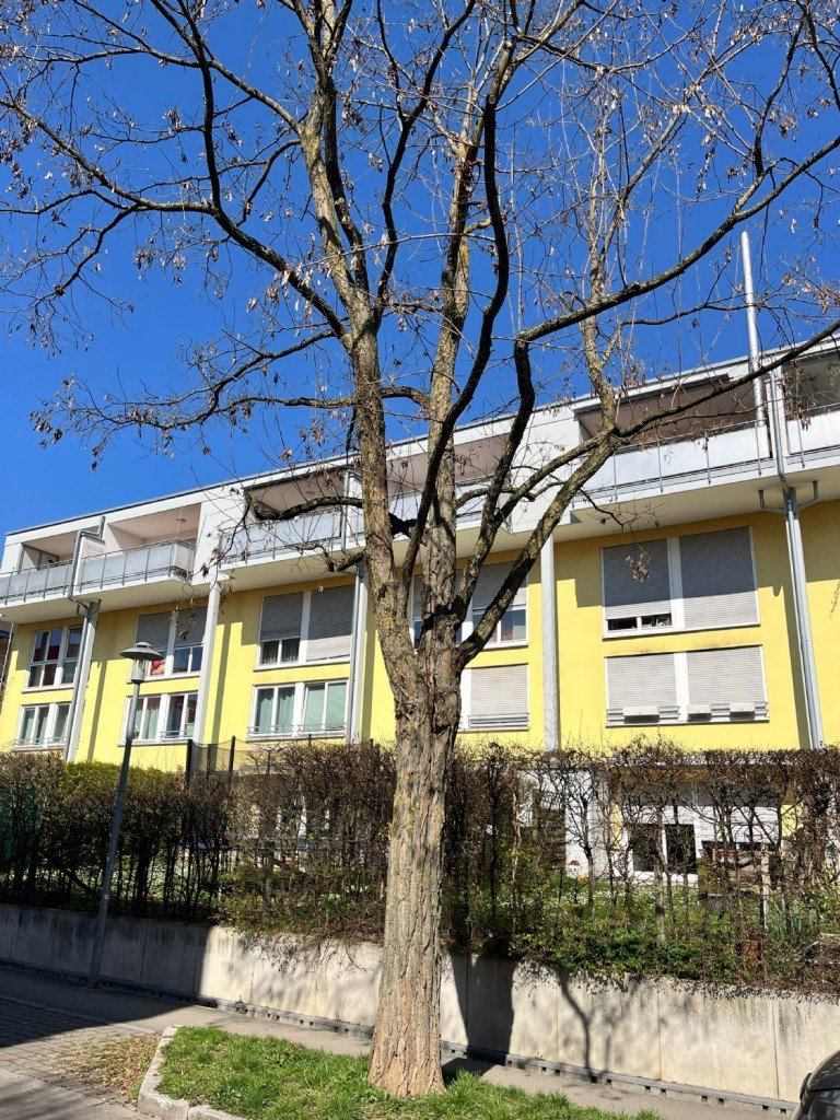 Sonniges, modernes Wohnen auf zwei Ebenen – mit Aufzug und Tiefgaragenstellplatz in Ostfildern Ostfildern - Scharnhauser Park Etagenwohnung Sonniges, modernes Wohnen auf zwei Ebenen – mit Aufzug und Tiefgaragenstellplatz in Ostfildern