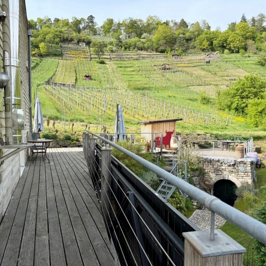 Erdgeschoss - Umlaufender Balkon - Weg zur Terrasse mit Blick auf die Weinberge Doppelhaush�lfte Unterjesingen