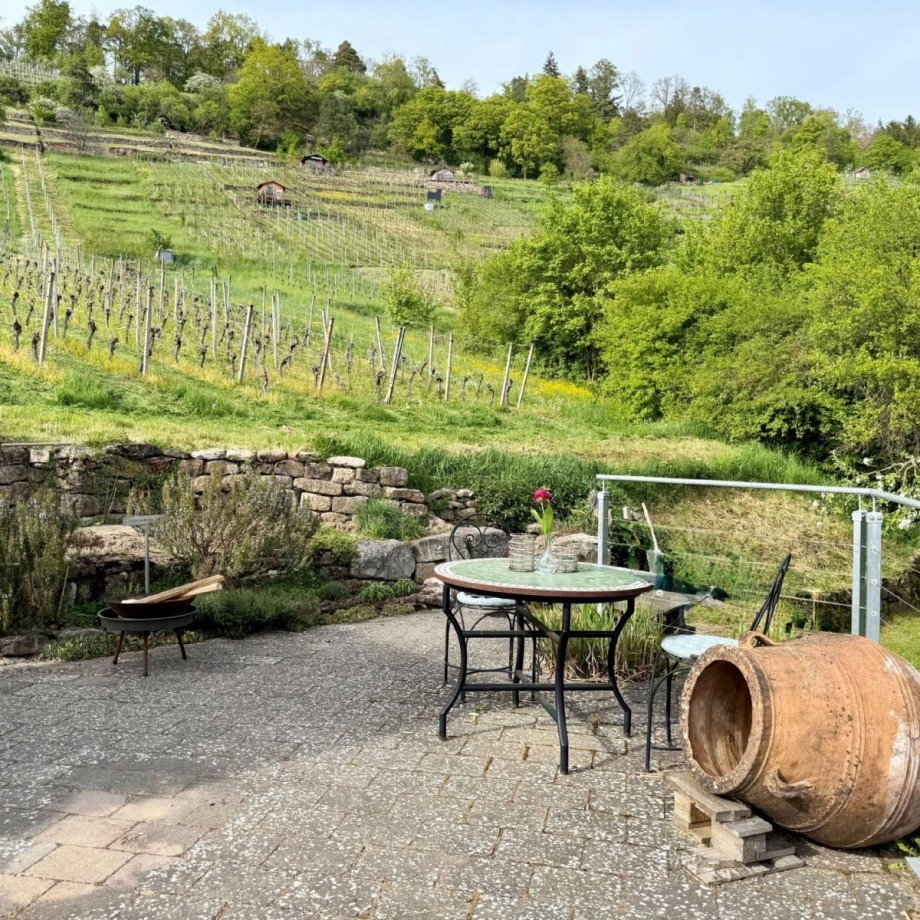 Erdgeschoss - gemütliche Ecken mit Blick auf die Weinberge Doppelhaush�lfte Unterjesingen