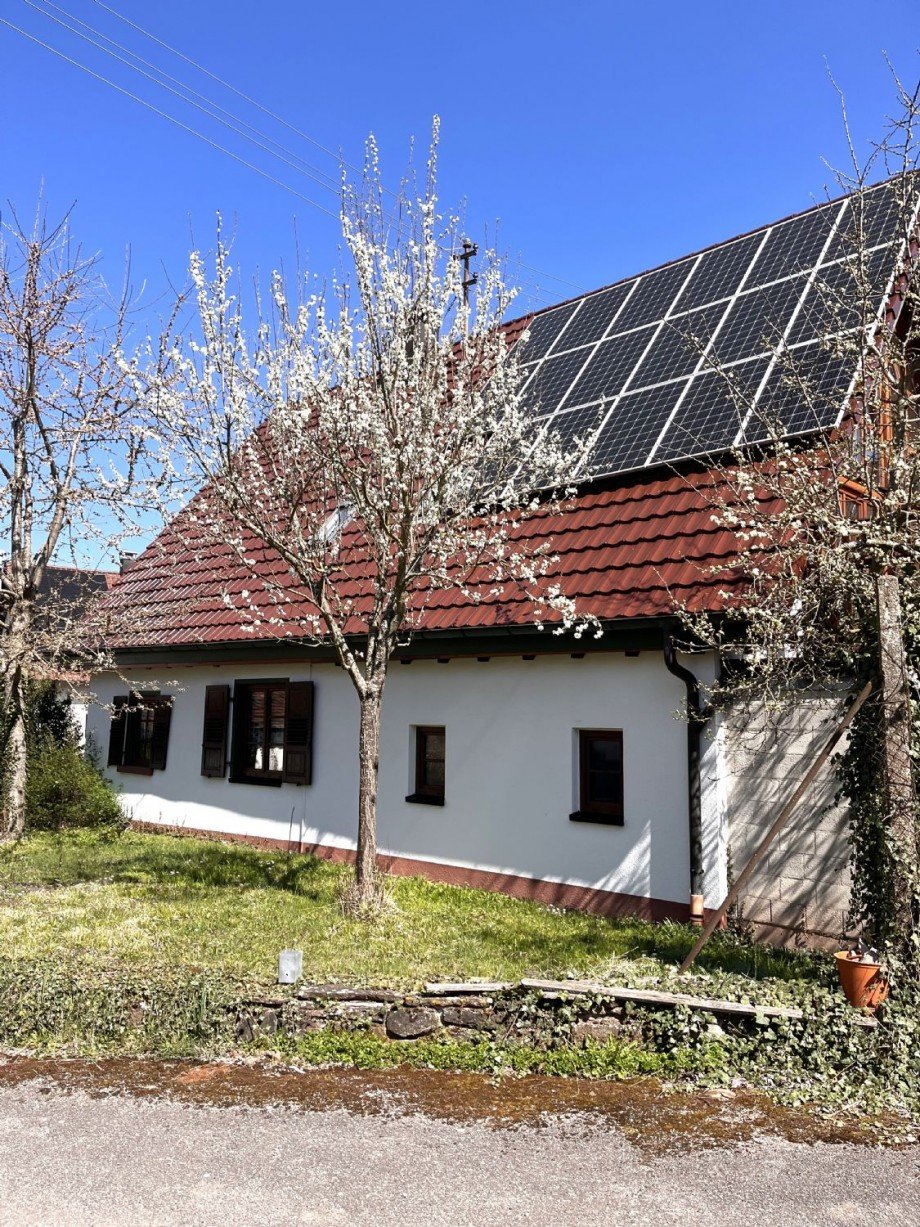 Nordansicht - Fotovoltaikanlage mit 33 Module x 300 Watt / 9,3 KWh Einfamilienhaus Neuhausen